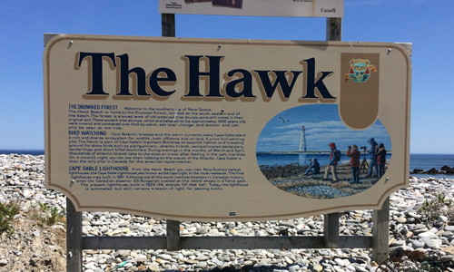 The Hawk Beach